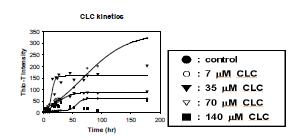 Thioflavin-T binding assay