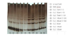 EEDQ cross linking assay