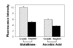 PcTS에 의한 amyloid 생성물의 hydroxyl radical 억제정도 비교