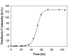 Thioflavin-T assay