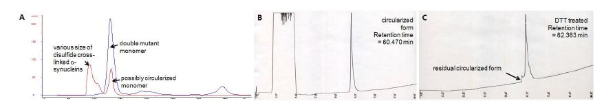 α-Synuclein 이중 변이체를 이용한 원형의 α-synuclein 정제