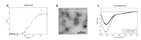 원형 α-synuclein의 응집 동력학과 형태학적, 구조적 특성 분석