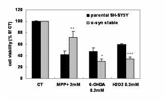 PD 관련 세포 사멸 조건에서 α-synuclein과 발현 세포 주의 민감도