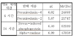 α-Synuclein 과 발현 세포에 H2O2 6, 24시간 처리하였을 때 발현 감소한 단백 군