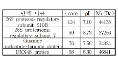 Parkin 과 발현 세포에 MPP+ 를 6시간 처리 후 발현 발현이 증가하는 단백 그룹 동정