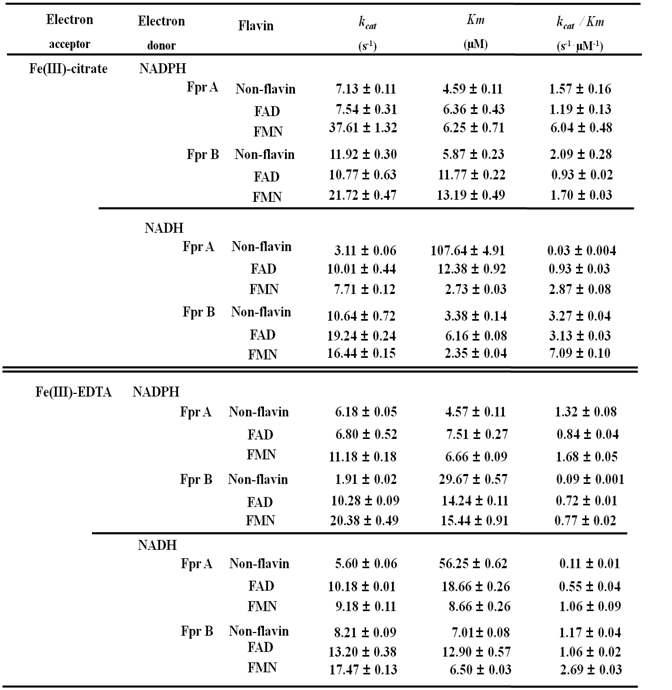 Fpr 의 ferric reduction kinetic data