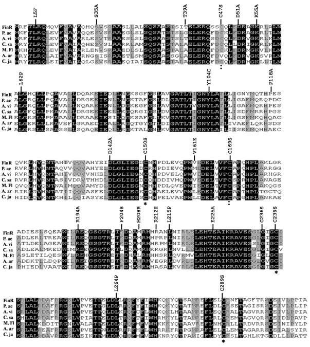 다양한 FinR 단백질의 아미노산 염기 서열 분석도