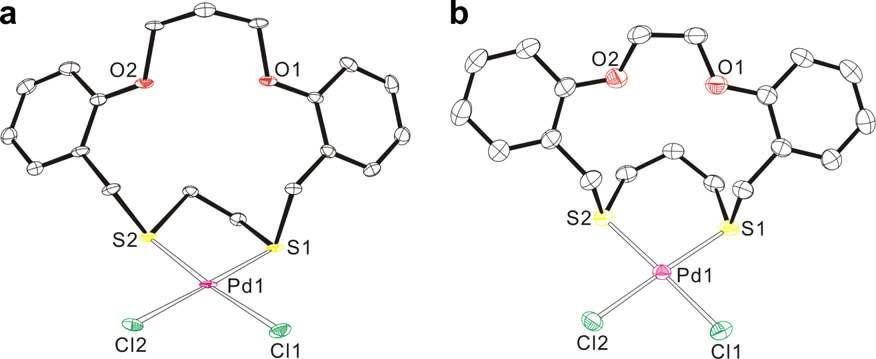 (a) 1a, [Pd(L1)Cl2]·2CHCl3 및 (b) 1b, [Pd(L2)Cl2]·CH2Cl2의 1:1 착물 구조.