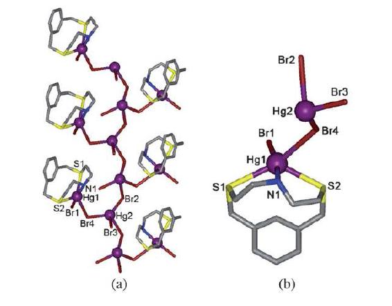 (a) 나뭇잎 형태의 1차원 구조 (b) 비대칭 단위 3a, [Hg2(L2)X4]n.