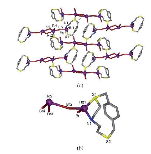 (a) 벽돌형 2차원 구조 (b) 비대칭 단위 4, [Hg(L3)Br4]n.