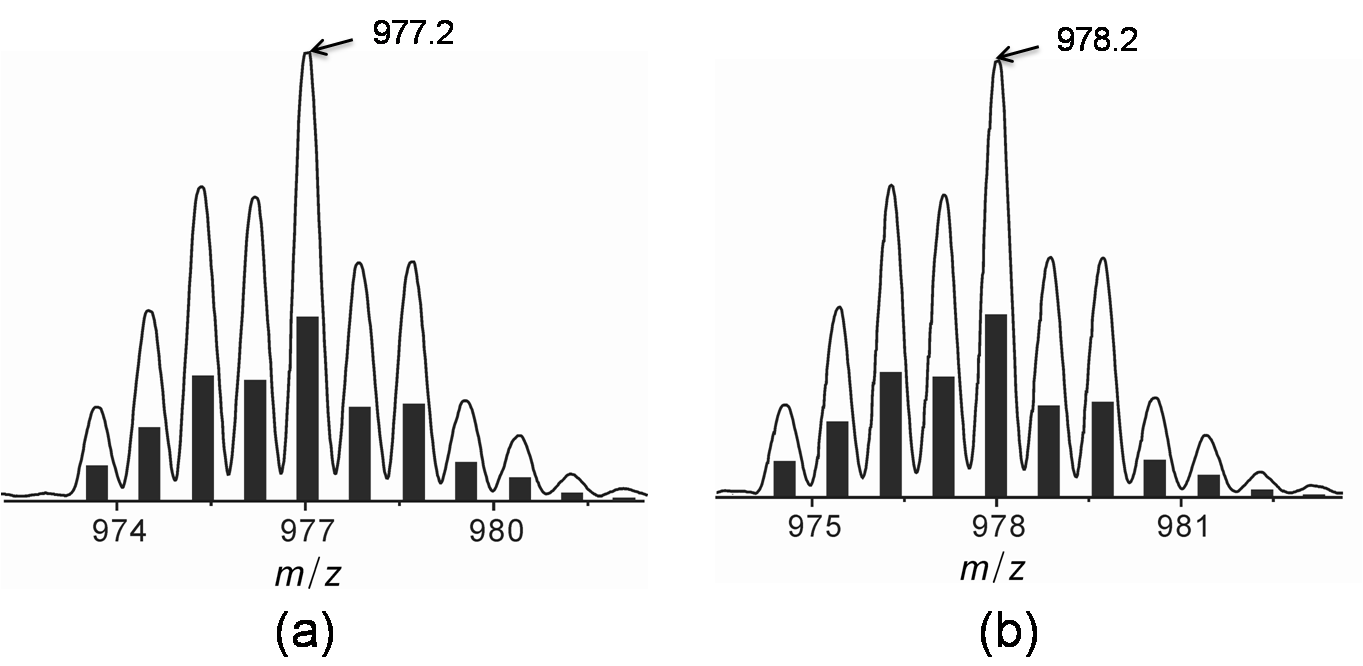 (a) [Hg(L1)ClO4]+ 및 (b) [Hg(L2)ClO4]+의 FAB 질량 스펙트럼.