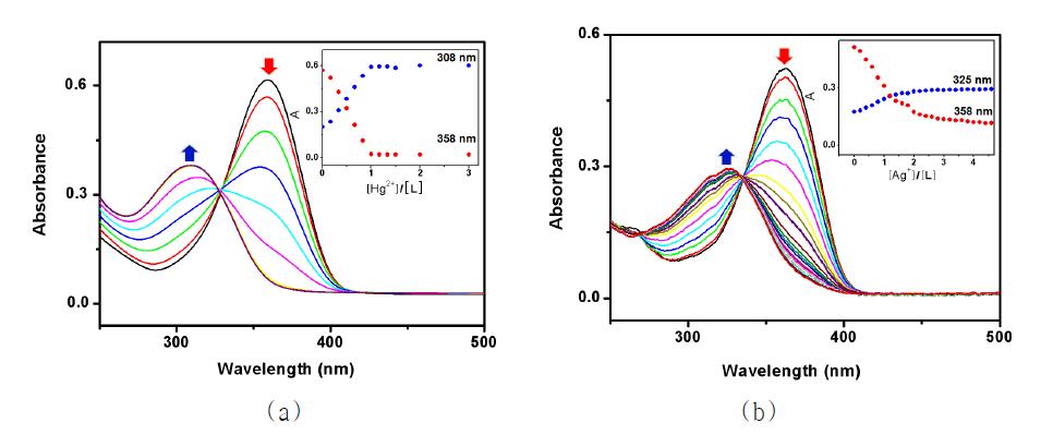 L (30 μM)에 (a) Hg(ClO4)2를 (아세토니트릴 용액) 및 (b) AgClO4 를 (에탄올 용액) 각각 적정하여 얻은 UV/vis 스펙트럼.