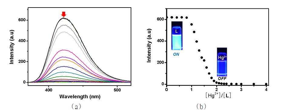 (a) 아세토니트릴 용매하에서 L (30μM)에 Hg(ClO4)2 (0-4 equiv)을 가하여 얻은 형광 스펙트럼 및 (b) 몰비에 의존한 ‘ON-OFF’ 현상을 보이는 적정곡선.