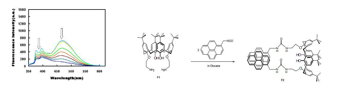 아세토니트릴에서 Pb2+ (0-1000 eq) 첨가에 의한 F2 (1.0 μM)의 방출스펙트럼