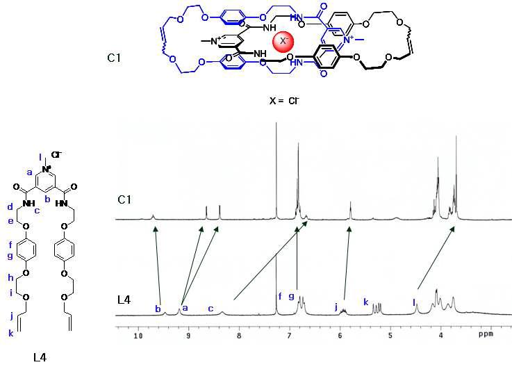 CDCl3 용매에서 (298 K) L4, 및 C1 의 1H NMR 스펙트럼.