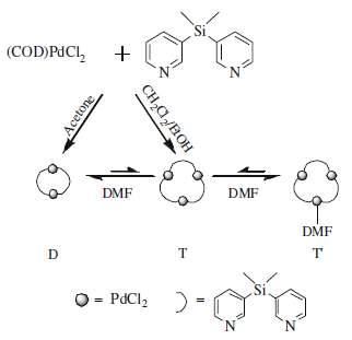 고리형 이합체 및 삼합체 팔라듐(II) 착물의 합성 및 용매화.