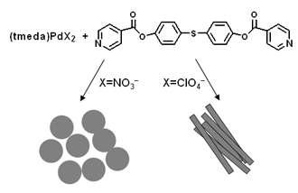 microsphere와 microbelt Pd(II) 착물.