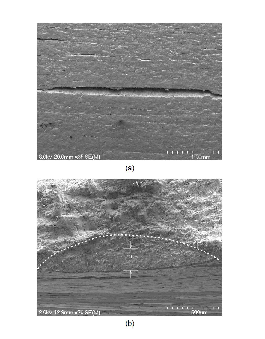 Scanning electron micrographs. (a) The scratches on the disk surface including a large scratch and many small surface scratches. (b) A typical fatigue crack view from the largest scratch on the fractured disk surface. Dotted line shows the configuration of the surface and depth of a surface fatigue crack.