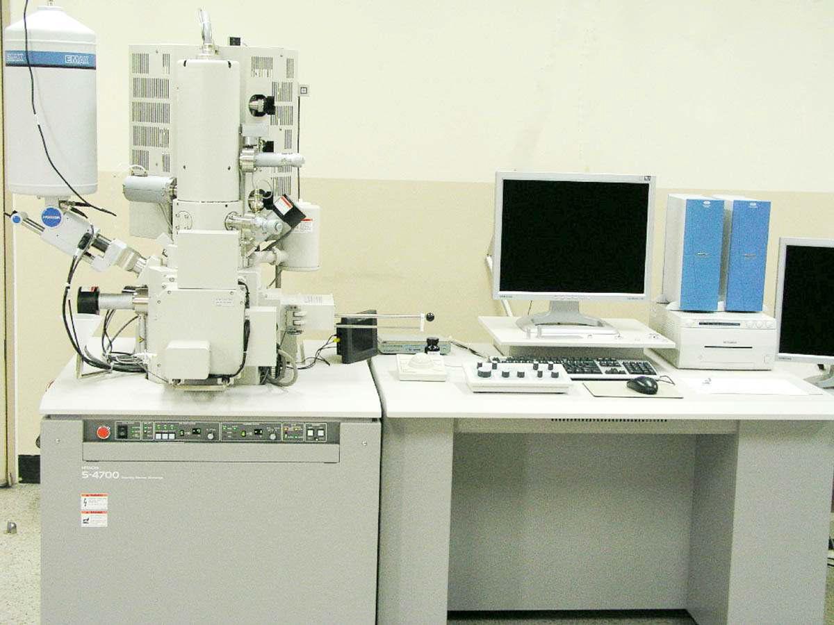 Scanning Electron Microscopy (Hitachi S-4700)