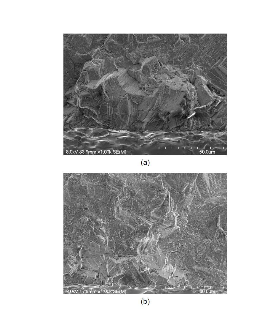 Examples of a facet pattern where fatigue crack initiation sites formed at R=0.05; (a) surface notch size 1㎜ and (b) 2㎜.