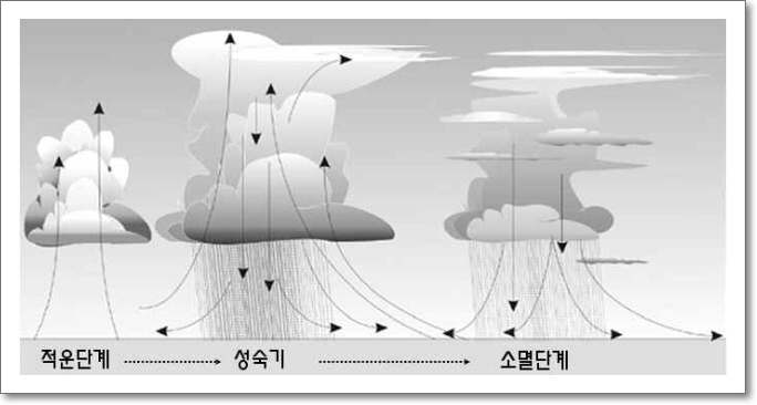 뇌우의 Life time 모식도