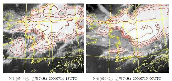 위성 영상