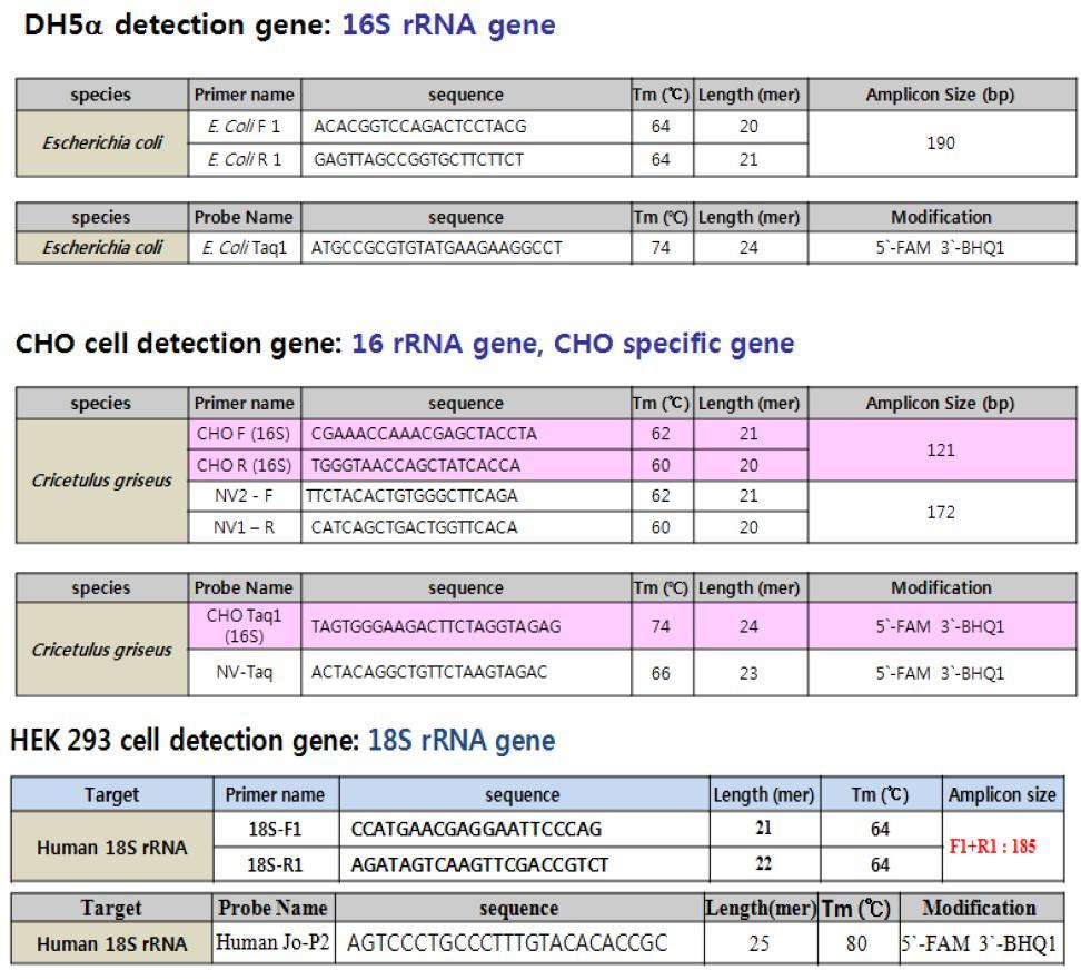 E. coli DH5α, CHO cell, HEK 293 cell을 검출하기 위한 primer와 probe 디자인.