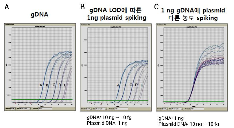 DH5α gene을 검출하기 위해 최적화한 real time PCR 결과.