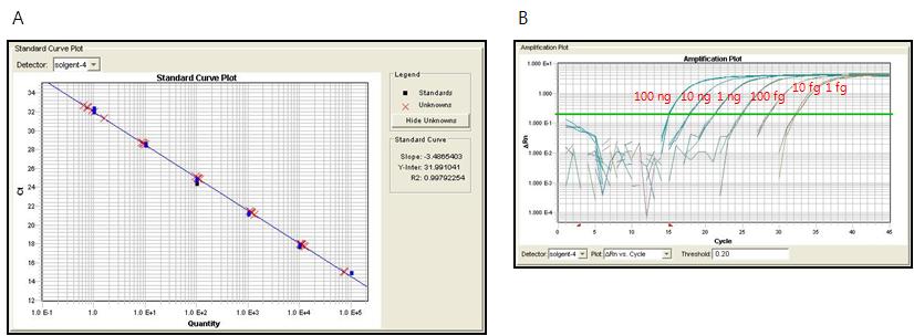 Standard curve of real time PCR.