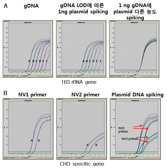 두 다른 회사에서 생산된 Taq DNA polymerase의 민감도 비교. CHO을 검출하기위해 최적화시킨 조건에서 두 제품의 민감도 비교.