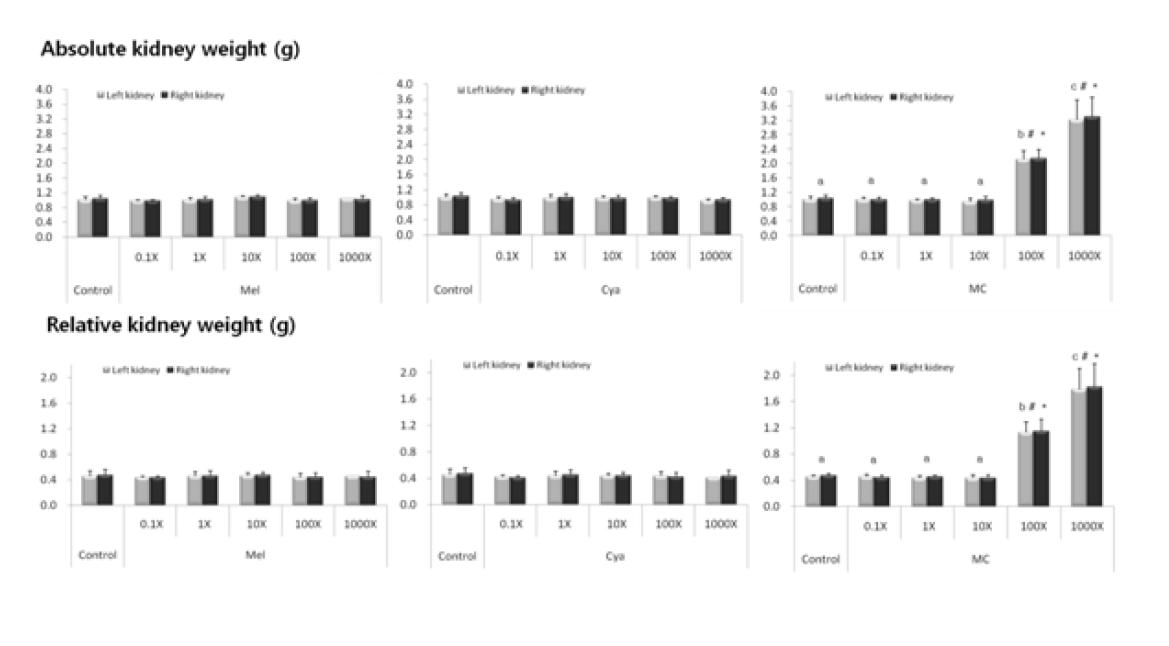 Kidney weights change (absolute and relative) of Sprague Dawley rats after the oral treatment of melamine (Mel),