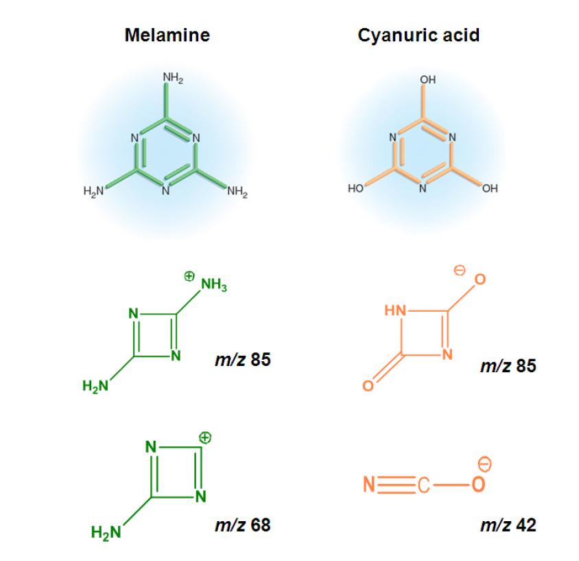 Structures of melamine and cyanuric acid and proposed structures for product ions.