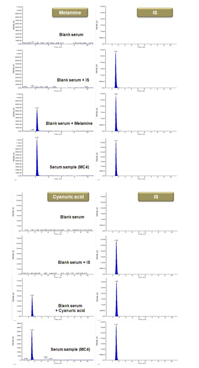 MRM chromatograms obtained from control serum and serum samples following oral exposure to melamine-cyanuric acid mixture.