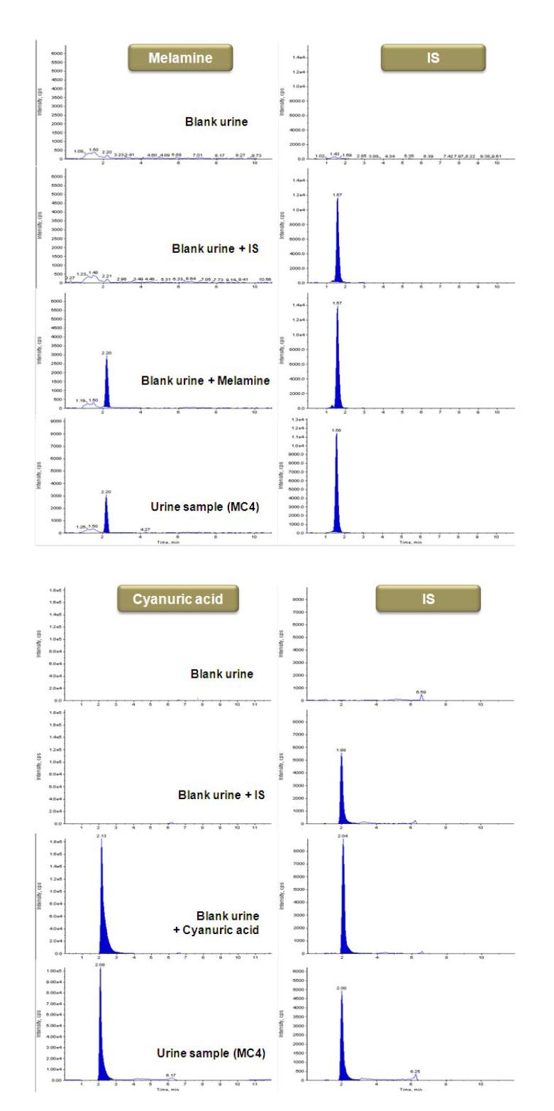 MRM chromatograms obtained from control urine and urine samples following oral exposure to melamine-cyanuric acid mixture.