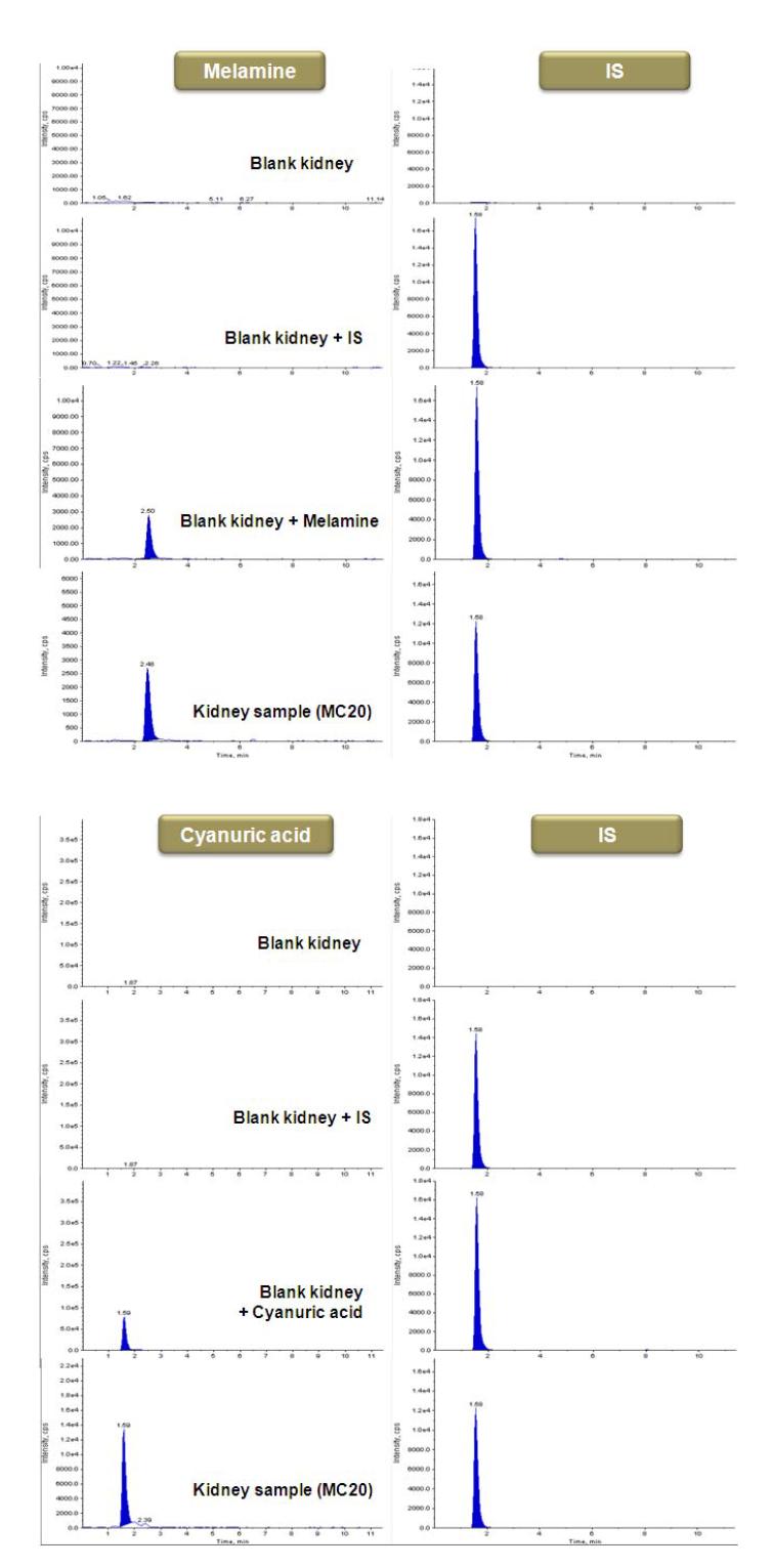 MRM chromatograms obtained from control kidney and kidney samples following oral exposure to melamine-cyanuric acid mixture.