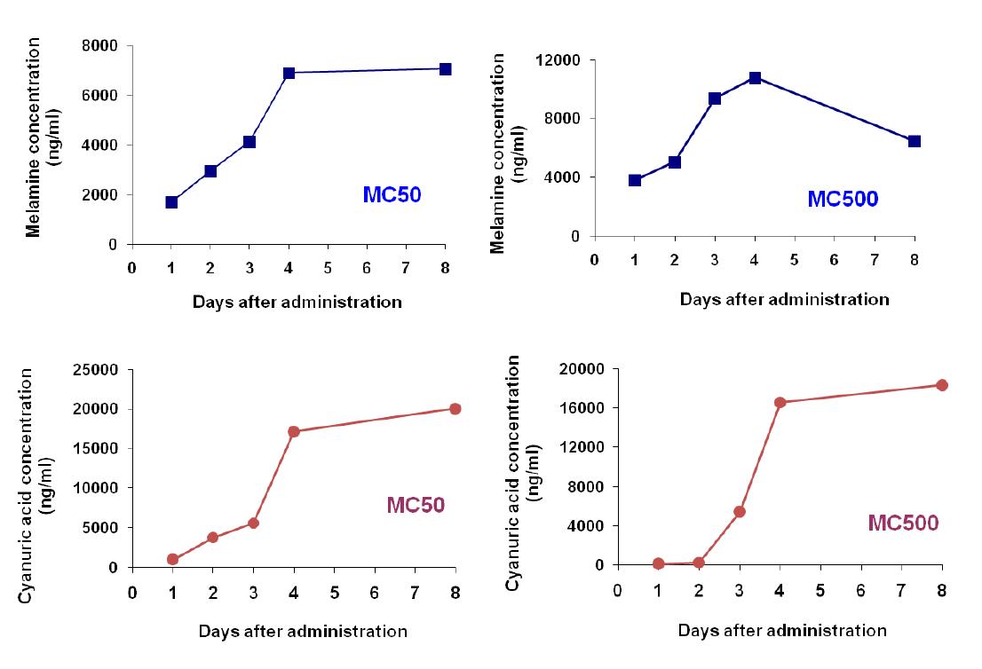 Serum concentration profiles of melamine and cyanuric acid following repeated exposure in male SD rats. Each value represents mean value of 2 animals.