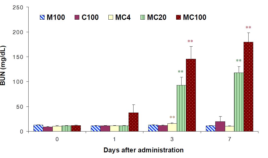 Changes of BUN following 7-day repeated exposure to melamine, cyanuric acid and the mixture in male SD rats. Each value represents the mean ± S.E. of 5 rats.