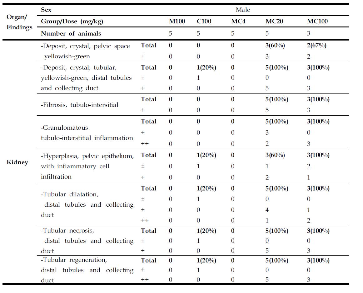 Histopathological findings of kidney in rats