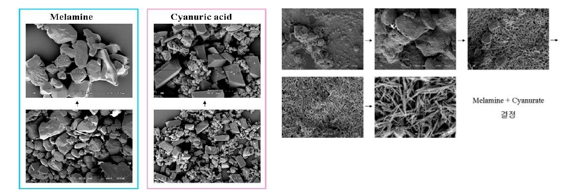 멜라민, 시아눌산 및 멜라민+시아눌산 결합의 전자현미경 사진 모양