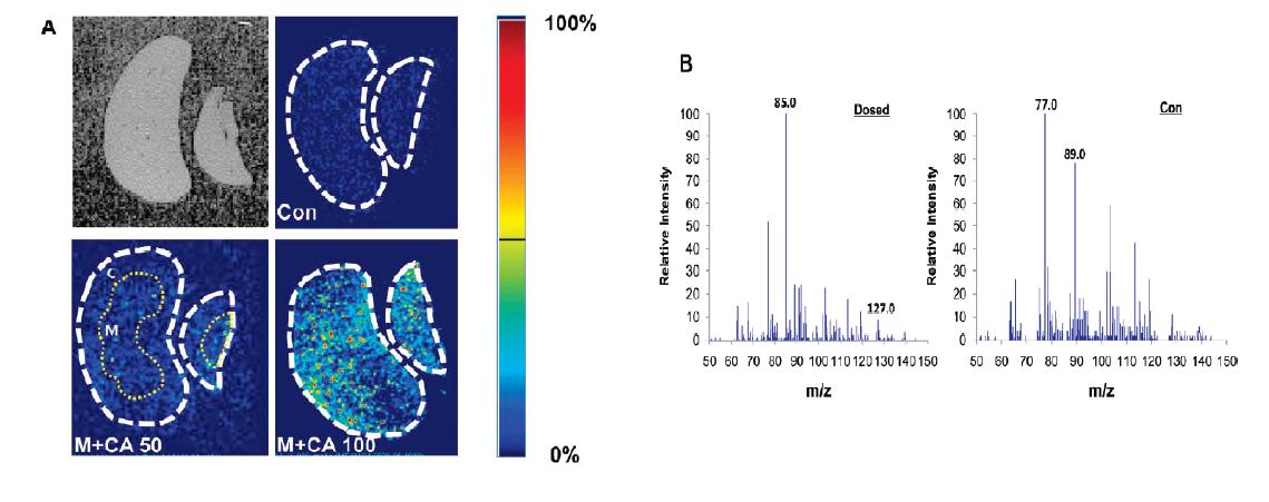 MALDI-Q-TOF image of melamine in the kidney section recorded in MS/MS mode and MS/MS spectrum