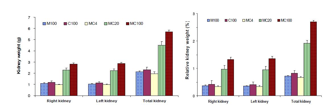 Weights of kidney following 7-day repeated exposure to melamine, cyanuric acid and the mixture in male SD rats.