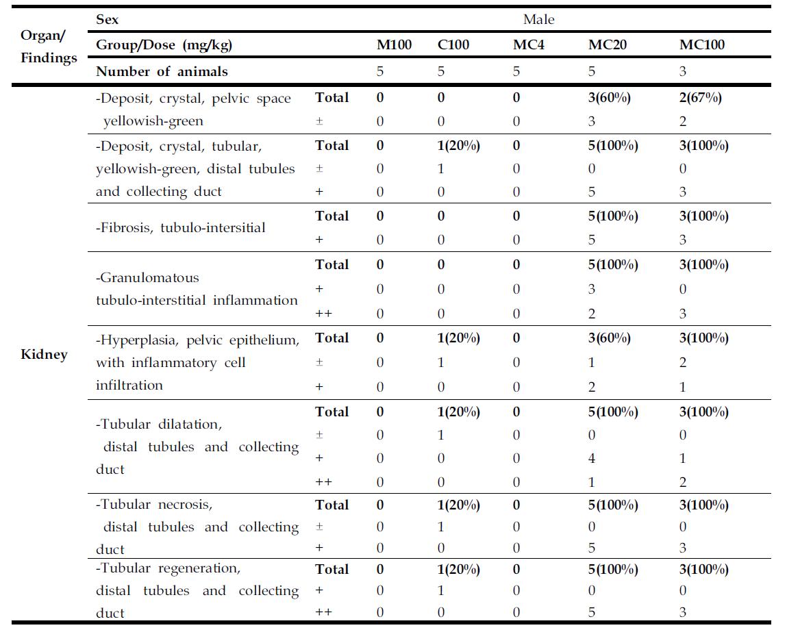 Histopathological findings of kidney in rats