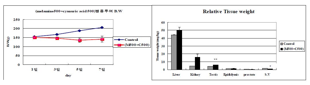 멜라민 및 시아눌산 병용처리에 의한 체중증가율 및 장기중량 변화