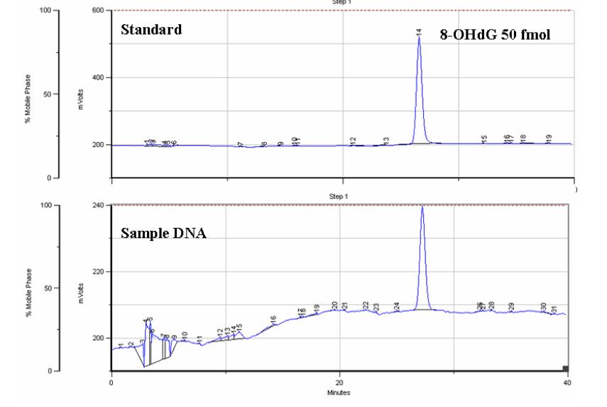 HPLC profiles of 8-OHdG from standard and extracted DNA