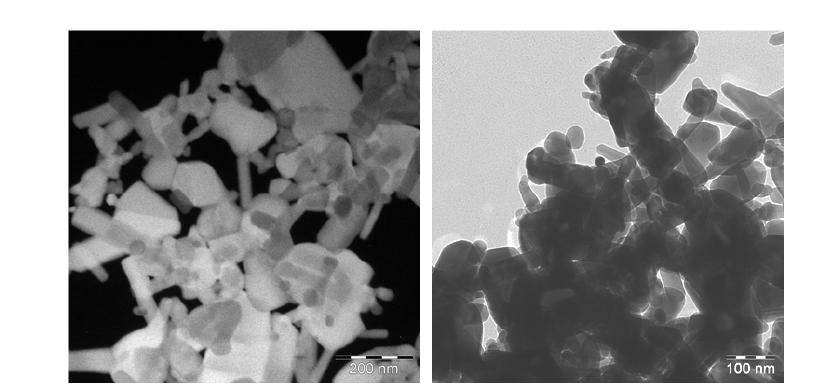 Zinc oxide의 TEM을 통한 크기 분석