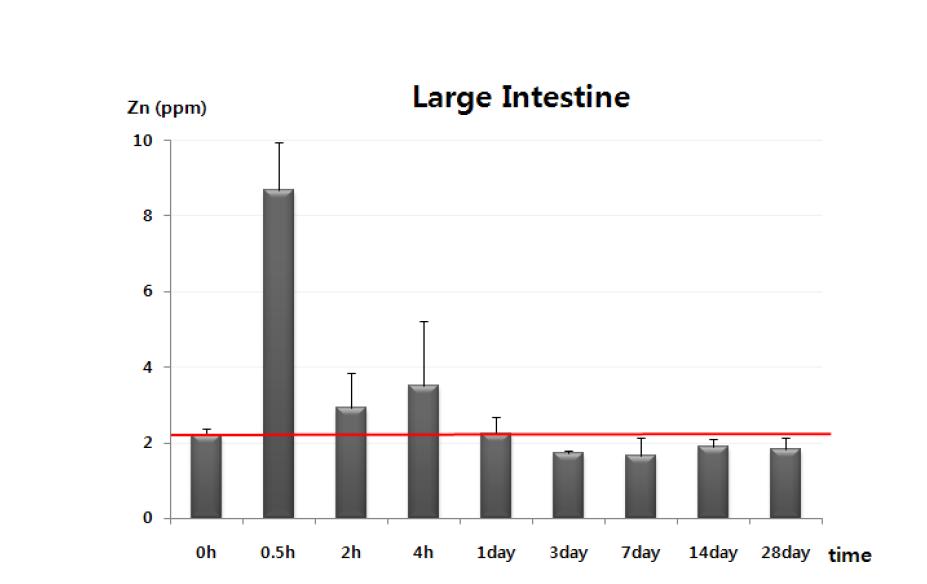 Zn nanoparticle analysis in large intestine of male mice following oral administration of 200 mg/kg of ZnO using ICP-AES method within 0 hour - 28 day.