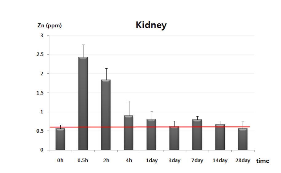 Zn nanoparticle analysis in kidney of male mice following oral administration of 200 mg/kg of ZnO using ICP-AES method within 0 hour - 28 day.