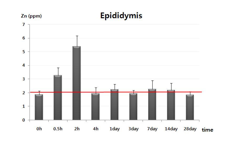 Zn nanoparticle analysis in testis of male mice following oral administration of 200 mg/kg of ZnO using ICP-AES method within 0 hour - 28 day. Data are expressed as mean ± SD