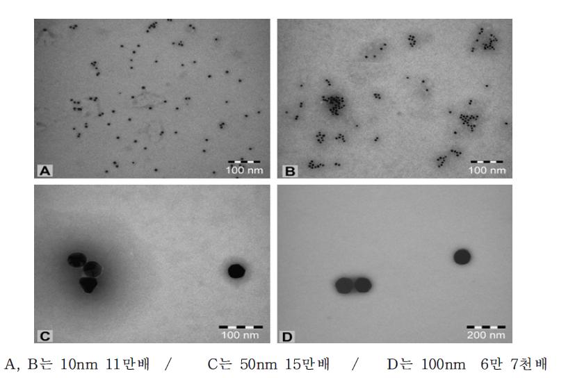 크기에 따른 금 나노입자의 분포의 예