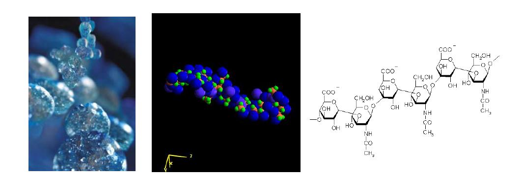 hyaluronic acid의 구조